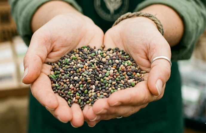 microgreens seed malaysia