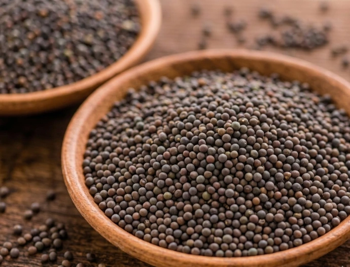 microgreen seeds malaysia