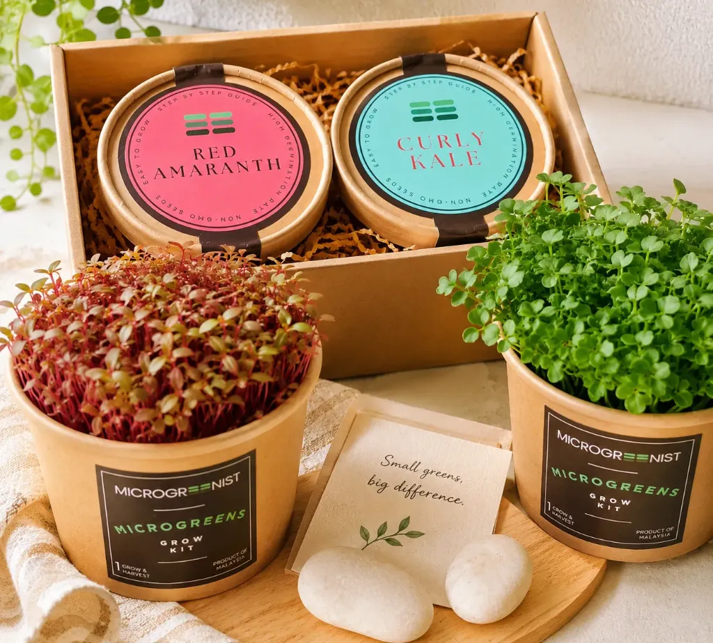 Discovery Box